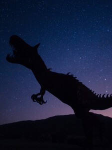 Tipneš si, kolik bylo na světě T. rexů? Děsivá odpověď německé vědkyně překvapila i odbornou veřejnost