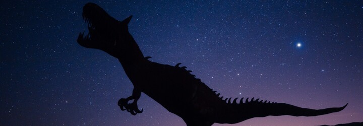 Tipneš si, kolik bylo na světě T. rexů? Děsivá odpověď německé vědkyně překvapila i odbornou veřejnost