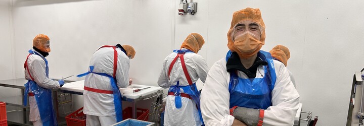 Tomáš studuje řezničinu: Pracuje ve 12 °C a nosí drátěnou košili. Vydělat si může i 40 tisíc