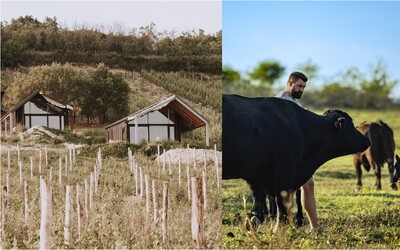Toskánsko na Slovensku: Peter má biofarmu so vzácnymi býkmi, môžu stáť až 500-tisíc eur (Foto)