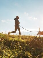 Toto ste možno netušili: aké benefity má kolagén pre psy? Vyberte im ten najlepší