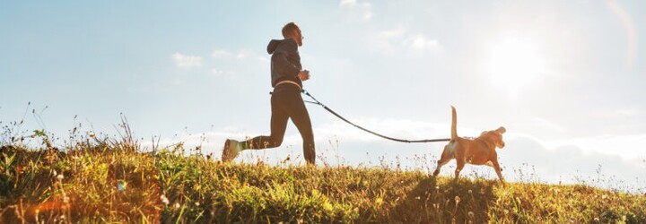 Toto ste možno netušili: aké benefity má kolagén pre psy? Vyberte im ten najlepší