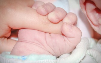 Tragický konec pátrání po novorozenci z Vídně: Mrtvé dítě našli v odpadkovém koši