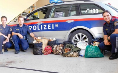Traja Taliani si chceli z lesov odniesť vyše 60 kg hríbov, všetko im zhabala polícia a úlovok darovala dôchodcom