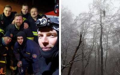 Trnavskí hasiči zachraňovali zo stromu paraglajdistu 5 hodín 