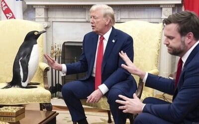 Trumpovým novým clům neunikli ani tučňáci. Vysvětlujeme, jakým šíleným způsobem je spočítal