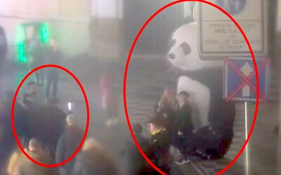 Tunisan dal muži bez domova stokorunu, aby se na ulici v Praze převlékl za pandu a vydělával mu peníze