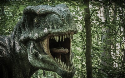 Tyranosaurus rex měl v hlavě něco jako osobní klimatizaci, ukázal výzkum