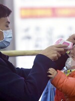 U Eboly trvalo vakcínu vyvinout 5 let. Pro koronavirus z Wu-chanu nemusí vzniknout vůbec, říká viroložka z Univerzity Karlovy