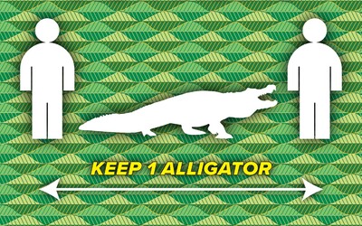 Udržujte medzi sebou vzdialenosť jedného aligátora. Floridský okres ponúka v boji s koronavírusom vtipnú radu