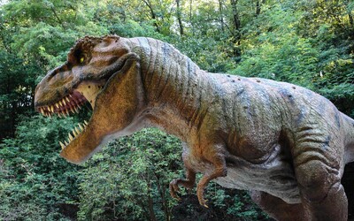 Uhodneš, kolik bylo na světě T. rexů? Odpověď překvapila i vědeckou komunitu 