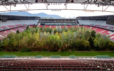 Umělec vysadil stromy uprostřed rakouského stadionu. Lesy jsou podle něj pomalu vymírající umění