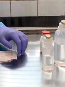 Úrady skúmajú možný kartel v laboratórnej diagnostike na Slovensku. Podnikatelia údajne nelegálne ovplyvňovali dianie na trhu 