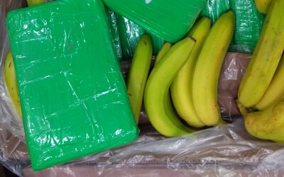 Už vieme, čo česká polícia spraví so 650 kg kokaínu, ktorý našli medzi banánmi. Momentálne ho prísne strážia