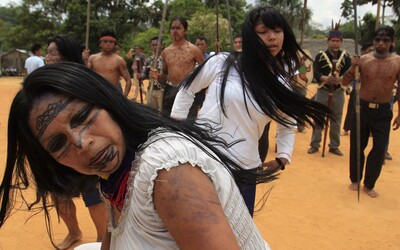 Územie amazonských domorodcov zabrali zlatokopi, hrozí konflikt a krviprelievanie