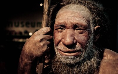 Užívali neandertálci drogy? Vědci našli malý, ale významný důkaz