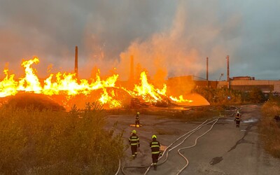 V 30 okresoch Slovenska hrozí nebezpečenstvo požiarov. Platia nové zákazy