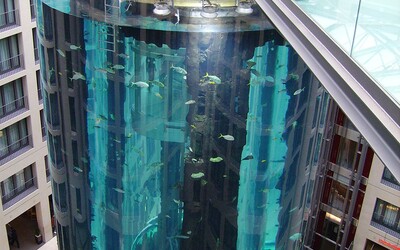 V Berlíně prasklo největší cylindrické akvárium na světě