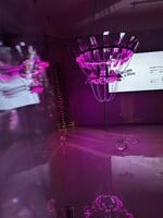 V Bratislave sa pred očami návštevníkov topilo umenie. Unikátna výstava symbolizovala pominuteľnosť krásy