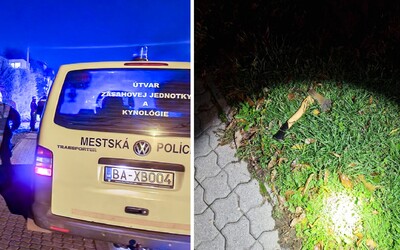 V Bratislave vyčíňal muž so sekerou. Zastavil ho až policajný pes