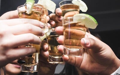 V Česku 93 % dětí vyzkouší alkohol z rukou rodičů ještě před 16. rokem