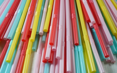 V Česku dnes začal platit zákaz výroby a prodeje jednorázových plastových příborů či brček