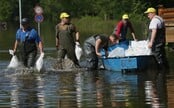 V Česku platí povodňový stupeň na 244 místech, téměř na třetině nejvyšší