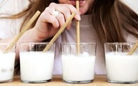 V Česku roste zájem o rostlinné alternativy mléčných výrobků a masa, ukazuje průzkum