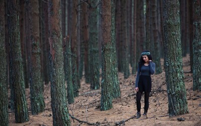 V Česku vysadí 10 milionů stromů. Mají zpomalit dopady sucha a přehřívání měst