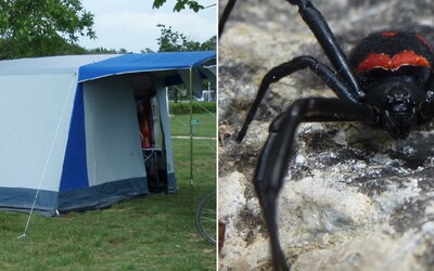 V Chorvatsku už turisté natrefili na černé vdovy i v kempu. Jsou ve stanech či umývárnách, tvrdí znepokojená Češka