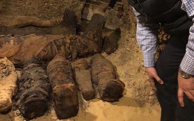 V Egypte objavili tisíce rokov ukrytú hrobku s 50 múmiami. Archeológovia zdôrazňujú jej dôležitosť