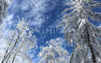 V Evropě by mohla nastat malá doba ledová. Hrozí extrémní výkyvy teplot