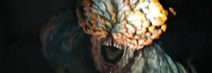 V Evropě se šíří nebezpečná houba jako z The Last of Us. Ohrožuje pacienty v nemocnicích