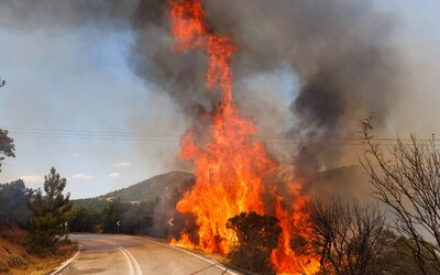 V Grécku zatkli 79 ľudí, ktorí zakladali požiare. Ste spodina, odkázal im nahnevaný minister a všetkým sľúbil tvrdé tresty