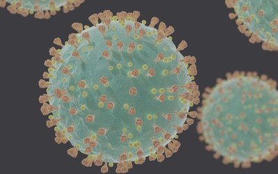 V Jihoafrické republice zachytili nejvíce zmutovanou variantu koronaviru