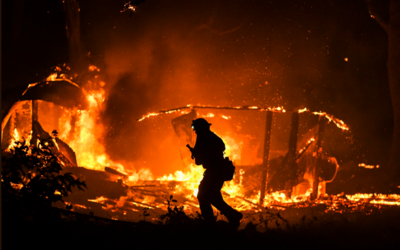 V Kalifornii vyhlásili nouzový stav: Požáry již zničily více než 200 km čtverečních, evakuováno bylo 180 tisíc lidí