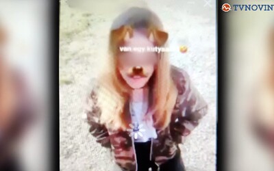 Na Slovensku řádí dívčí gang, dívky ve věku 13 až 15 let šikanují a mlátí jiné lidi