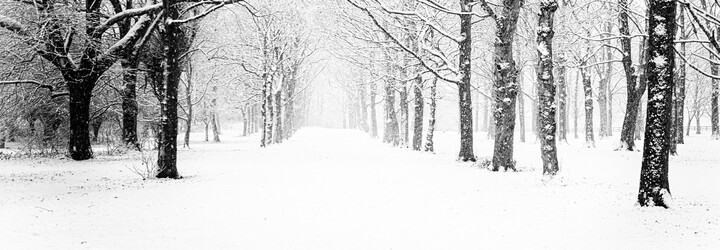 V Poľsku kosili trávu pod snehom. Bizarné fotky koscov sú hitom internetu