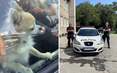 V Senici nechal vodič v aute zamknutého psa. Počas horúčav ho v obchode musela hľadať polícia