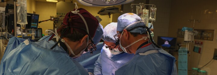 V Turecku zemřel muž při levné transplantaci vlasů. Klinika tvrdí, že neudělala chybu