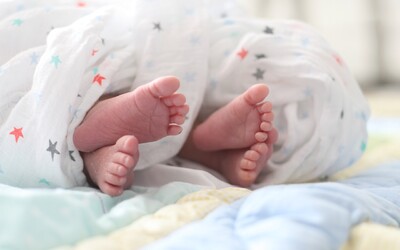 V USA sa narodili dvojičky z embryí zmrazených pred viac ako tridsiatimi rokmi
