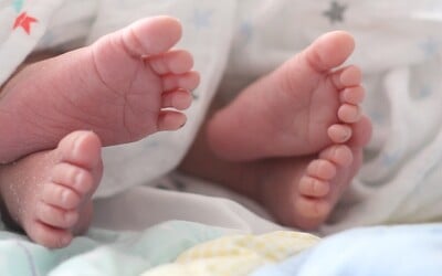 V USA se narodila dvojčata z embryí zmrazených před více než třiceti lety