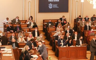 V české politice chybí mladí a ženy. V porovnání s ostatními státy je zastoupení žen a mladých ve Sněmovně podprůměrné