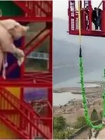 V čínskom zábavnom parku zhodili prasa na lane z 68-metrovej veže. Zvrátený bungee jumping rieši aj PETA