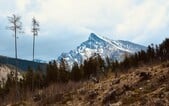 V hoteli v Tatrách zomrela žena, nakazila sa nebezpečnou baktériou vo vírivke. Potvrdili ju u viacerých hostí