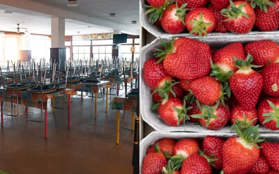 V jedálni slovenskej základnej školy podávali kontaminované jahody. Úrady vydali varovanie pre deti a rodičov