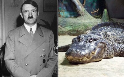 V moskevské zoo zemřel aligátor, který údajně patřil Adolfu Hitlerovi