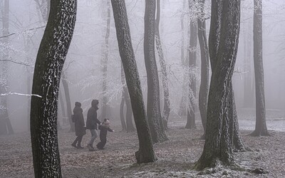 V noci bude na celom Slovensku mrznúť, teploty môžu klesnúť až na mínus štyri stupne