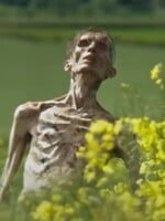 V novom traileri na horor 28 Years Later sa Cillian Murphy zmení na nepoznanie. Od úniku vírusu uplynuli takmer tri desaťročia