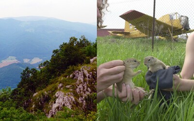 V obľúbenom národnom parku na Slovensku pribudla výnimočná atrakcia. Ťahákom budú nielen sysle, aj špeciálny výhľad